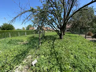 Grond te koop Pepingen (RBK86223)