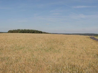 Terrain à vendre Boulaide (RBL35055)