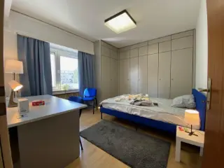Appartement à louer Luxembourg (RBL36150)