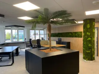 Office space for rent Bertrange (RBL38614)