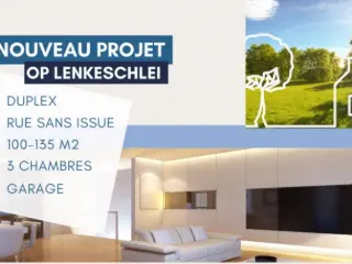 Duplex te koop Dudelange (RBL40844)