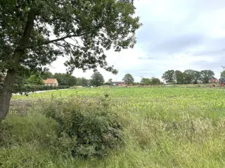 Terrain à vendre Olmen (RBL58517)