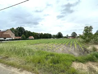 Terrain à vendre Olmen (RBL58518)