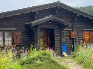 Chalet à louer Troisvierges (RBM47348)