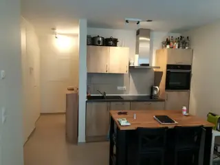 Appartement à louer Luxembourg (RBM87598)