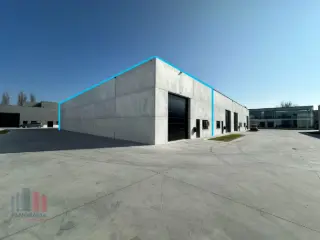 Industrie te huur Waregem (RBM94257)
