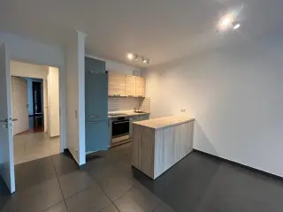 Apartment for rent Esch-sur-Alzette (RBN14334)