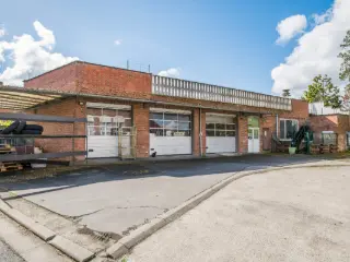 Handelspand te koop Sint-Niklaas (RBN60332)