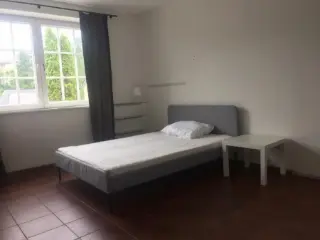 Appartement te huur Luxembourg (RBN70298)