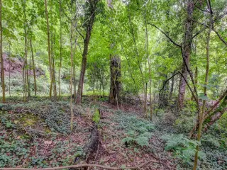 Bouwgrond te koop Overijse (RBN75616)