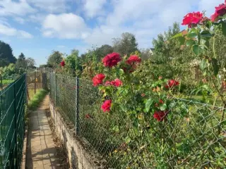 Landbouwgrond te koop Itzig (RBO04930)