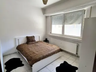 Apartment for rent Differdange (RBO34806)