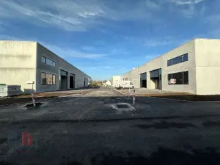 Surface industrielle à vendre Anzegem (RBP91069)