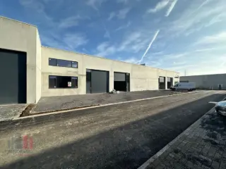 Surface industrielle à vendre Anzegem (RBP91071)