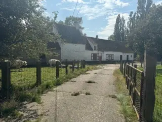 Ferme à vendre Koolkerke (RBR56350)