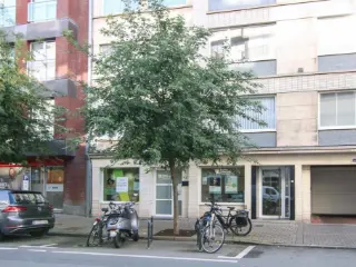 Handelspand te koop Kortrijk (RBR69479)