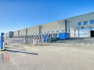 Industrie te huur Boussoit (RBR84789)