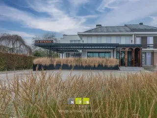 Handelspand te koop Maasmechelen (RBR86926)