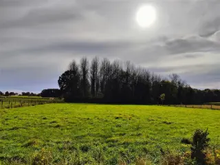 Grond te koop Opwijk (RBR94964)