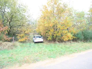 Farmland for rent Contern (RBR96341)