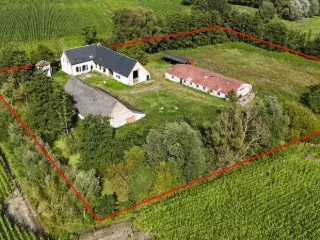 Ferme à vendre Beerzel (RBR99031)