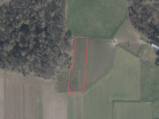 Farmland for sale Asse (RBS00584)