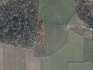 Wood for sale Asse (RBS00585)