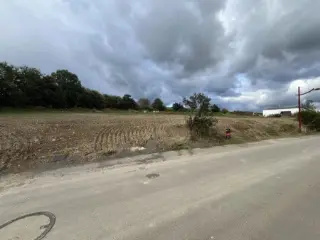 Terrain à vendre Leithum (RBS05380)