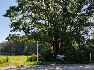 Bouwgrond te koop Beringen (RBS15175)