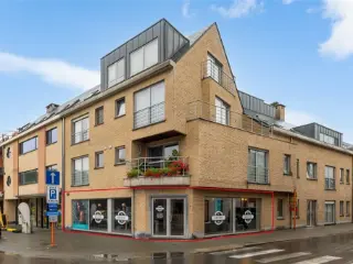 Handelspand te koop Grobbendonk (RBS29525)