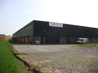 Surface industrielle à louer Warcoing (RBS32964)