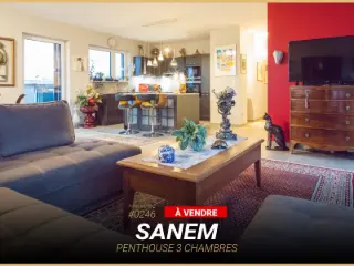 Penthouse à vendre Sanem (RBS33663)