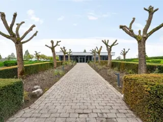 Office space for rent Sint-Niklaas (RBS35706)