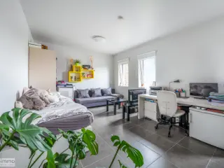 Kot te koop Brugge (RBS35778)