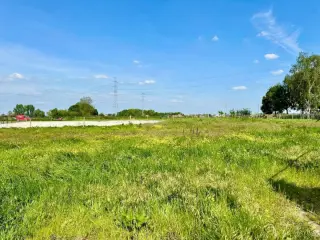 Grond te koop Avelgem (RBS37426)