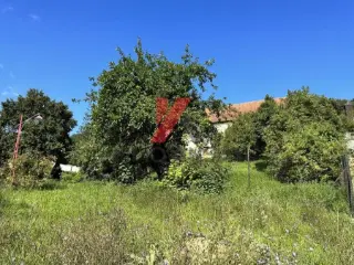 Terrain à vendre Reisdorf (RBS42302)