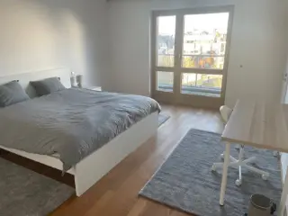Appartement à louer Luxembourg (RBS44964)