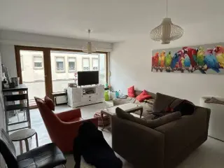 Appartement à louer Luxembourg (RBS58879)