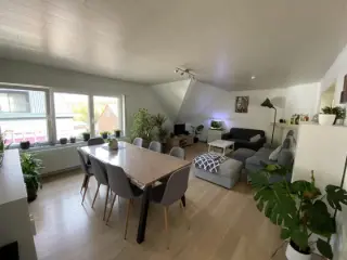 Apartment for sale Sint-Pieters-Leeuw (RBS64656)