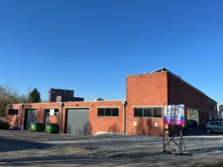 Industrie te huur Hasselt (RBS68990)