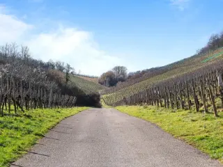 Maison à vendre Schengen (RBS74013)