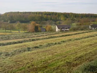 Land for sale Rodenbourg (RBS74910)