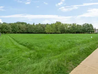 Bouwgrond te koop Westerlo (RBS79950)