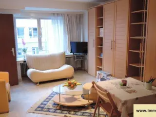 Studio for rent Luxembourg (RBS83789)