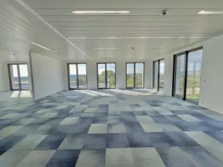 Bureaux à louer Leudelange (RBS91931)