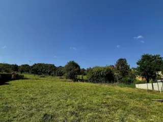 Land for sale Born (RBS93199)