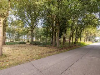 Farmland for sale Wechelderzande (RBS93454)