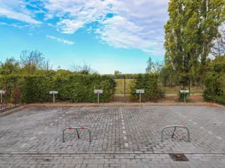 Parking à louer Zwijnaarde (RBS95914)