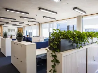 Bureaux à louer Leudelange (RBS96825)