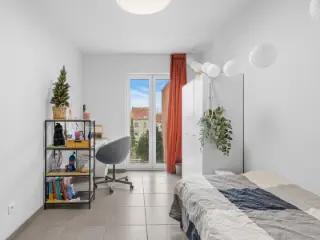 Kot te koop Gent (RBS99530)